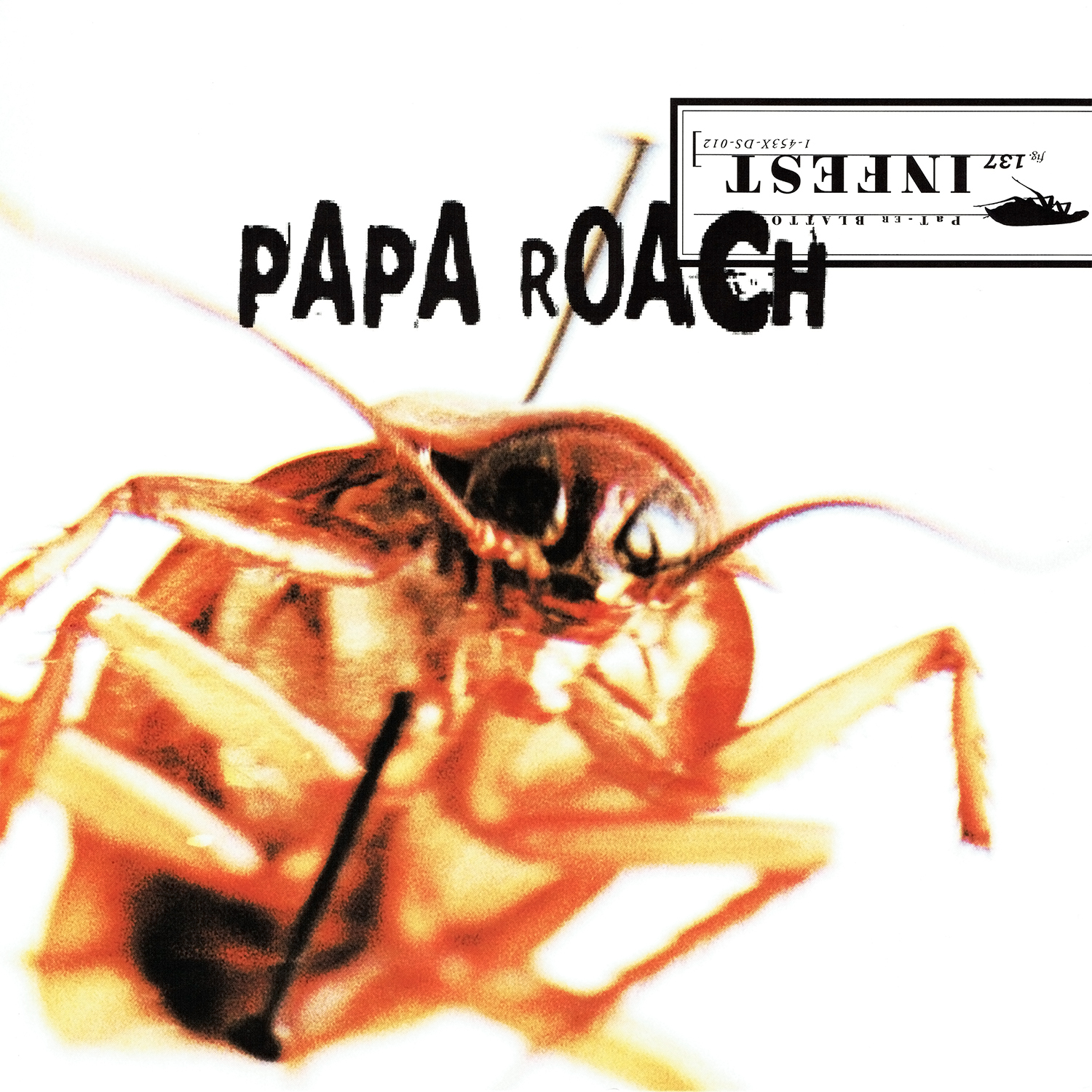 Graded on a Curve: Papa Roach, Infest