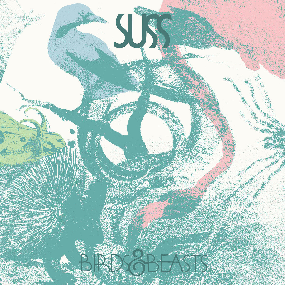 Graded on a Curve: SUSS, Birds & Beasts